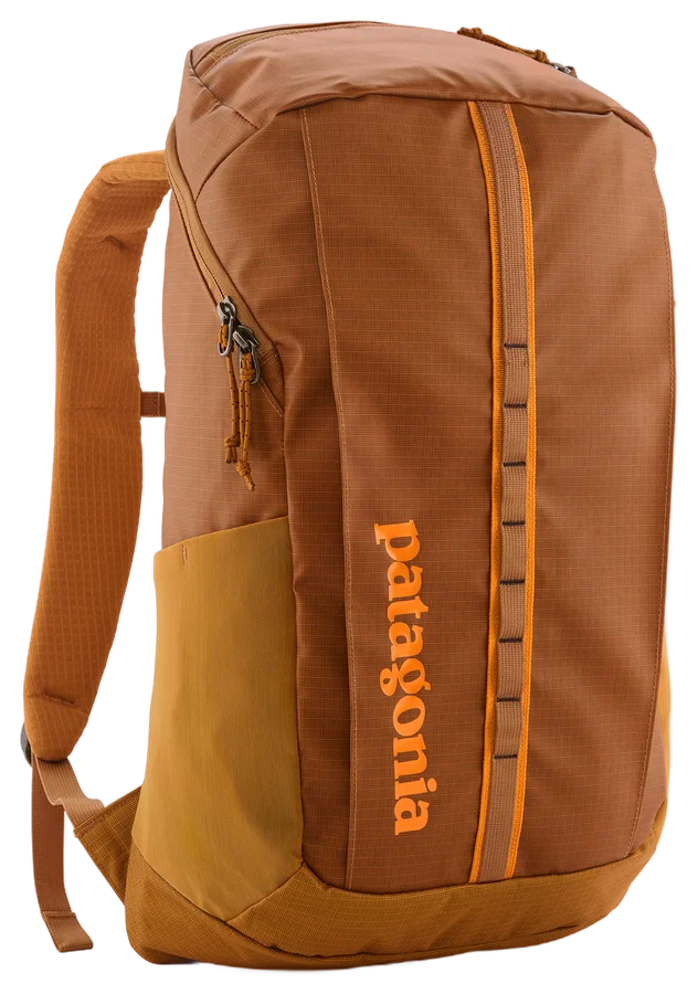 Patagonia Black Hole Pack 25L